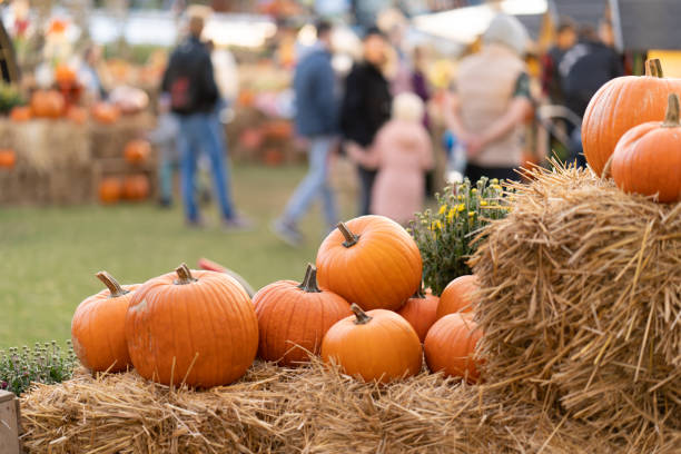 pumpkins on hay bale