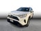2024 Toyota RAV4 XLE Sport Utility 4D