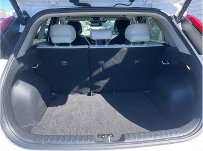 2023 Kia Niro EV Wind Wagon 4D
